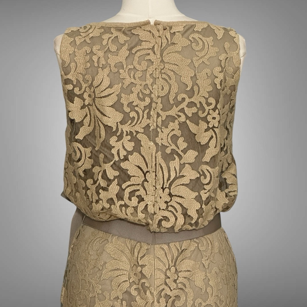 Tadashi Shoji Womens Dress 8 Beige Lace Overlay Blouson Gown Wedding Mother - Picture 9 of 16